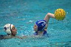 WWPolo vs CC  Wheaton College Women’s Water Polo compete in their sports inaugural match vs Connecticut College. - Photo By: KEITH NORDSTROM : Wheaton, water polo, inaugural